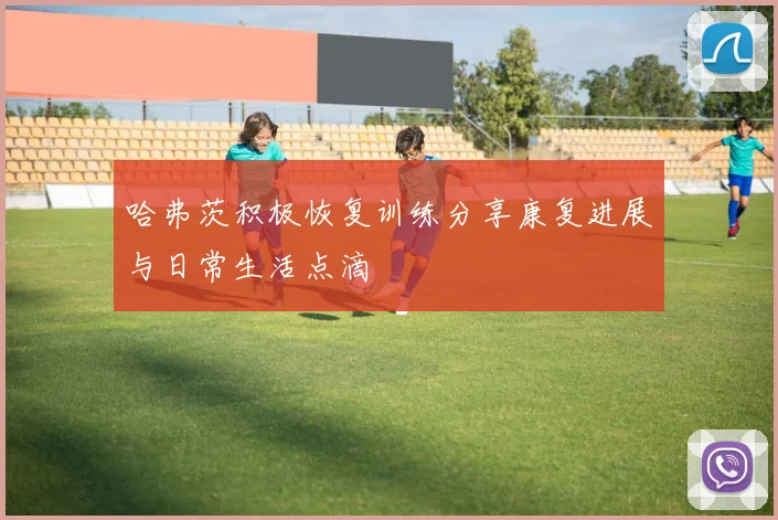 哈弗茨积极恢复训练分享康复进展与日常生活点滴