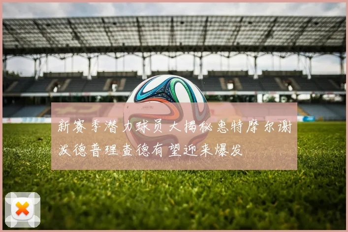 新赛季潜力球员大揭秘惠特摩尔谢泼德普理查德有望迎来爆发
