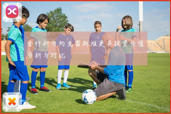舍什科与约克雷斯谁更具投资价值分析与对比
