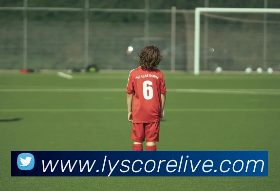 乐鱼体育平台生态图